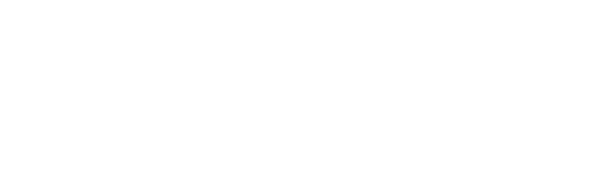 Citadel Securities logo
